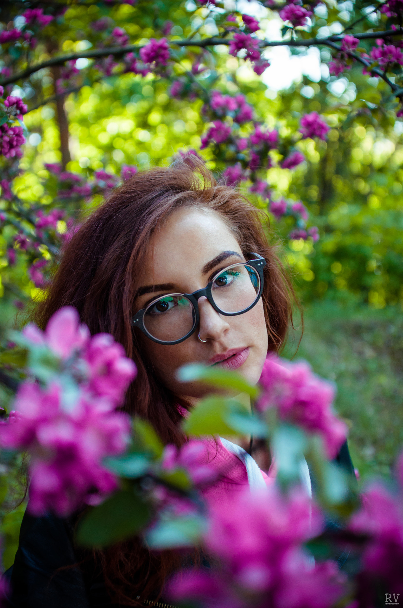 Nikon D90 + Sigma 30mm F1.4 EX DC HSM sample photo. Pink mood again) photography