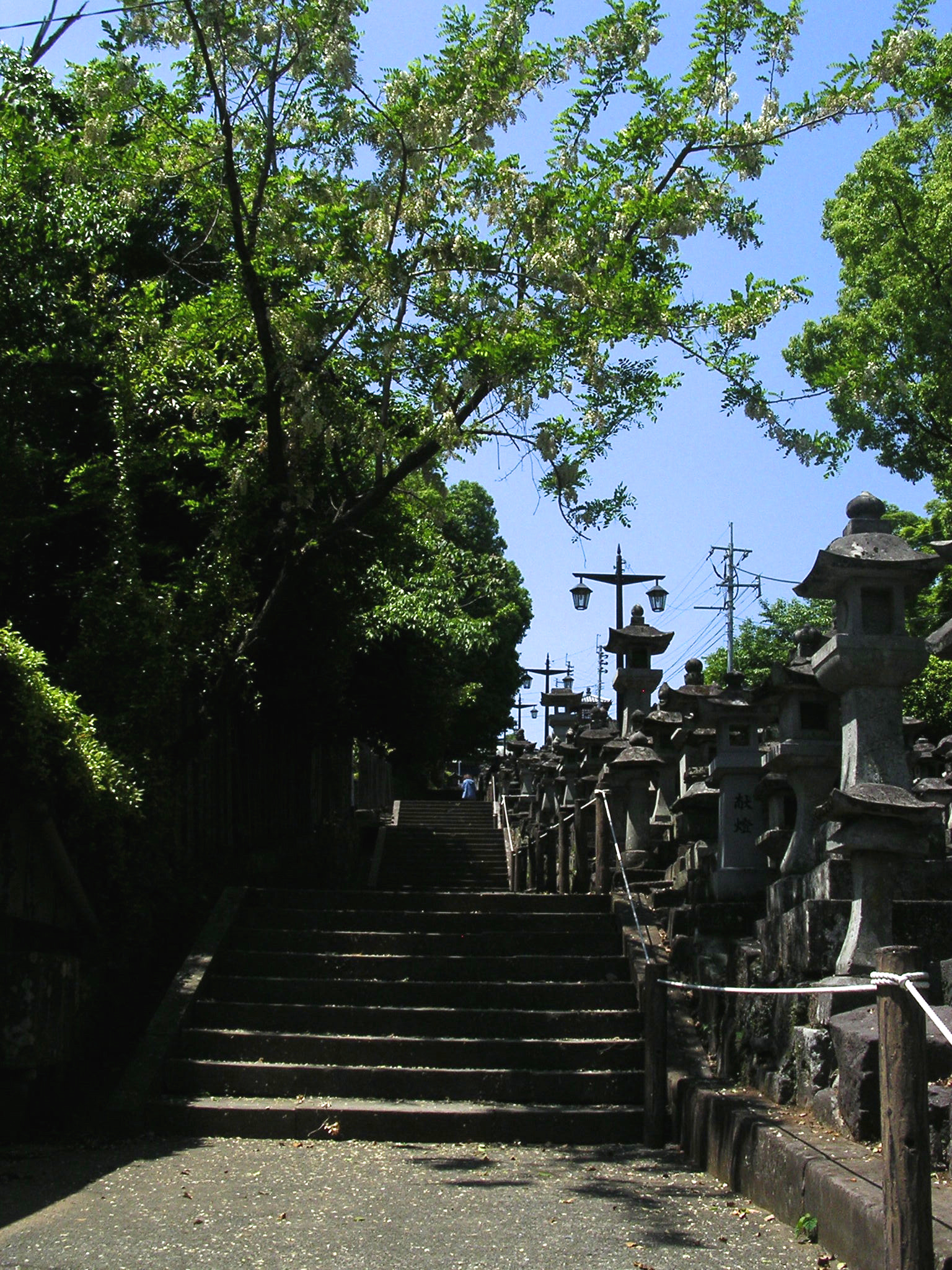 Nikon E3100 sample photo. Honmyōji stairs photography