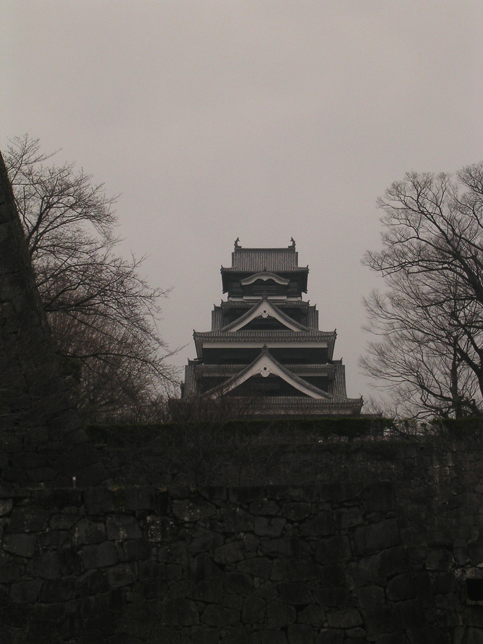 Nikon E3100 sample photo. Kumamoto castle 熊本城 photography