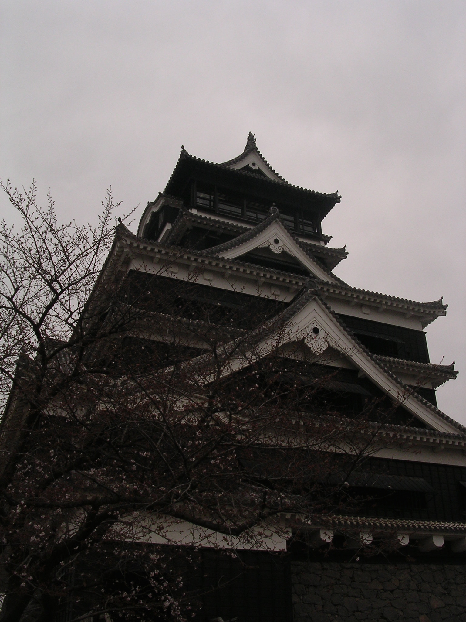 Nikon E3100 sample photo. Kumamoto castle 熊本城 photography