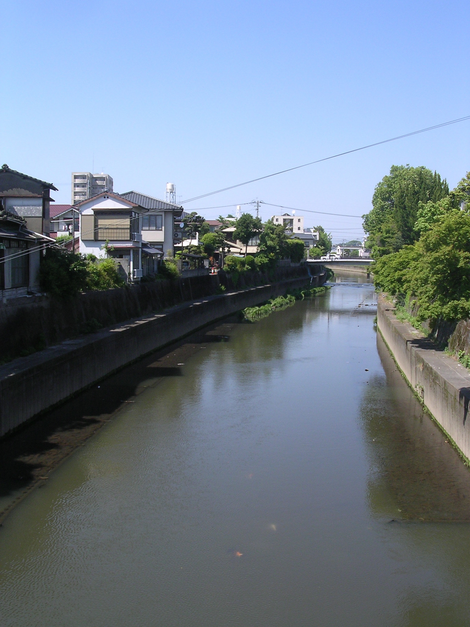 Nikon E3100 sample photo. Neighborhood river photography