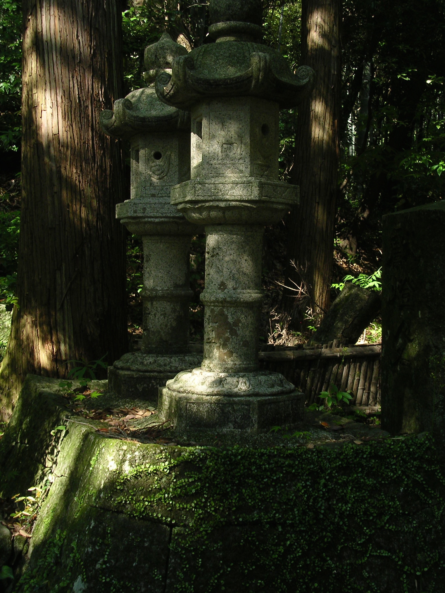 Nikon E3100 sample photo. Lantern photography