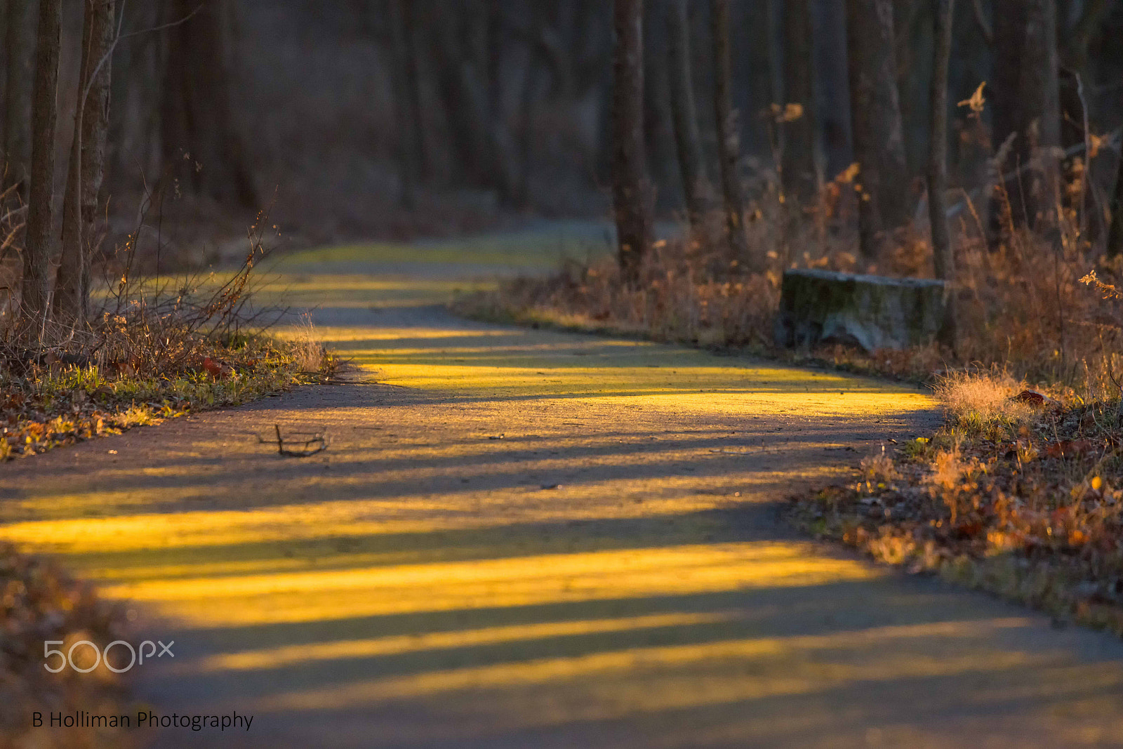 Canon EF 300mm F2.8L IS II USM sample photo. Path photography