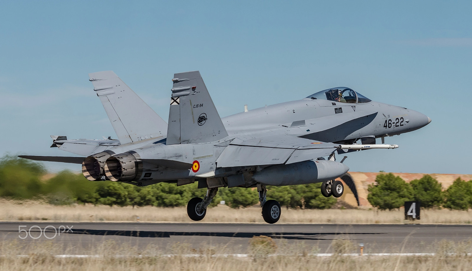 Sigma 120-400mm F4.5-5.6 DG OS HSM sample photo. Spanish hornet photography