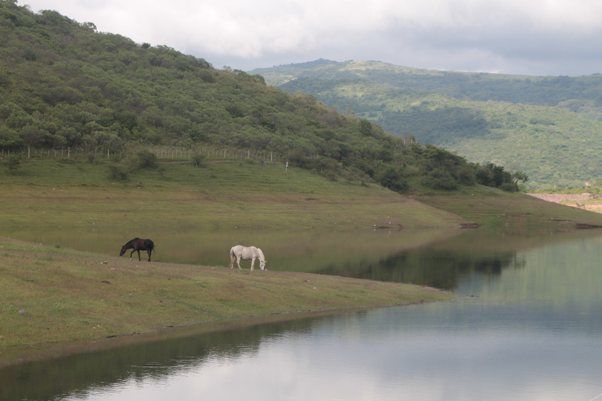 Canon EF 28-105mm f/3.5-4.5 USM sample photo. Surprised by the nature photography