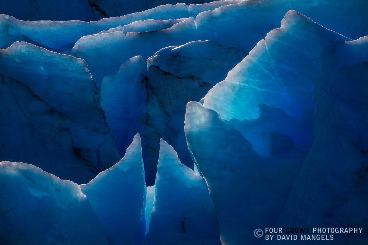 Canon EF 70-200mm F2.8L USM sample photo. Hidden worlds that shine photography