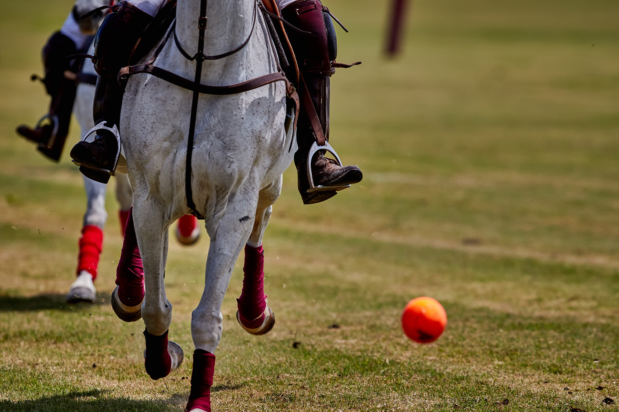 Canon EF 300mm F2.8L IS II USM sample photo. 8a0a8514_2798.jpg photography