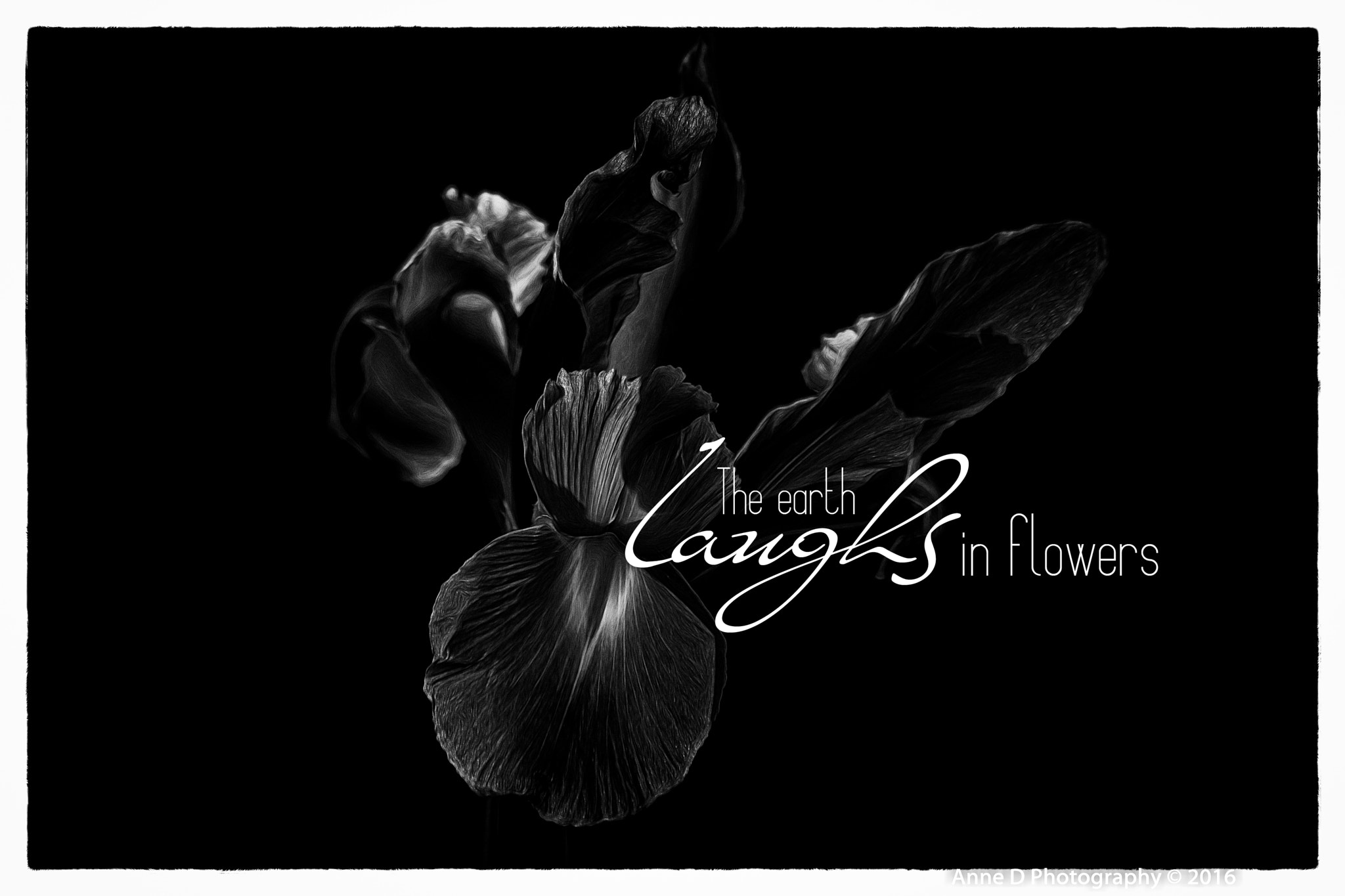Canon EOS 750D (EOS Rebel T6i / EOS Kiss X8i) sample photo. Iris the earth laughs in flowers photography