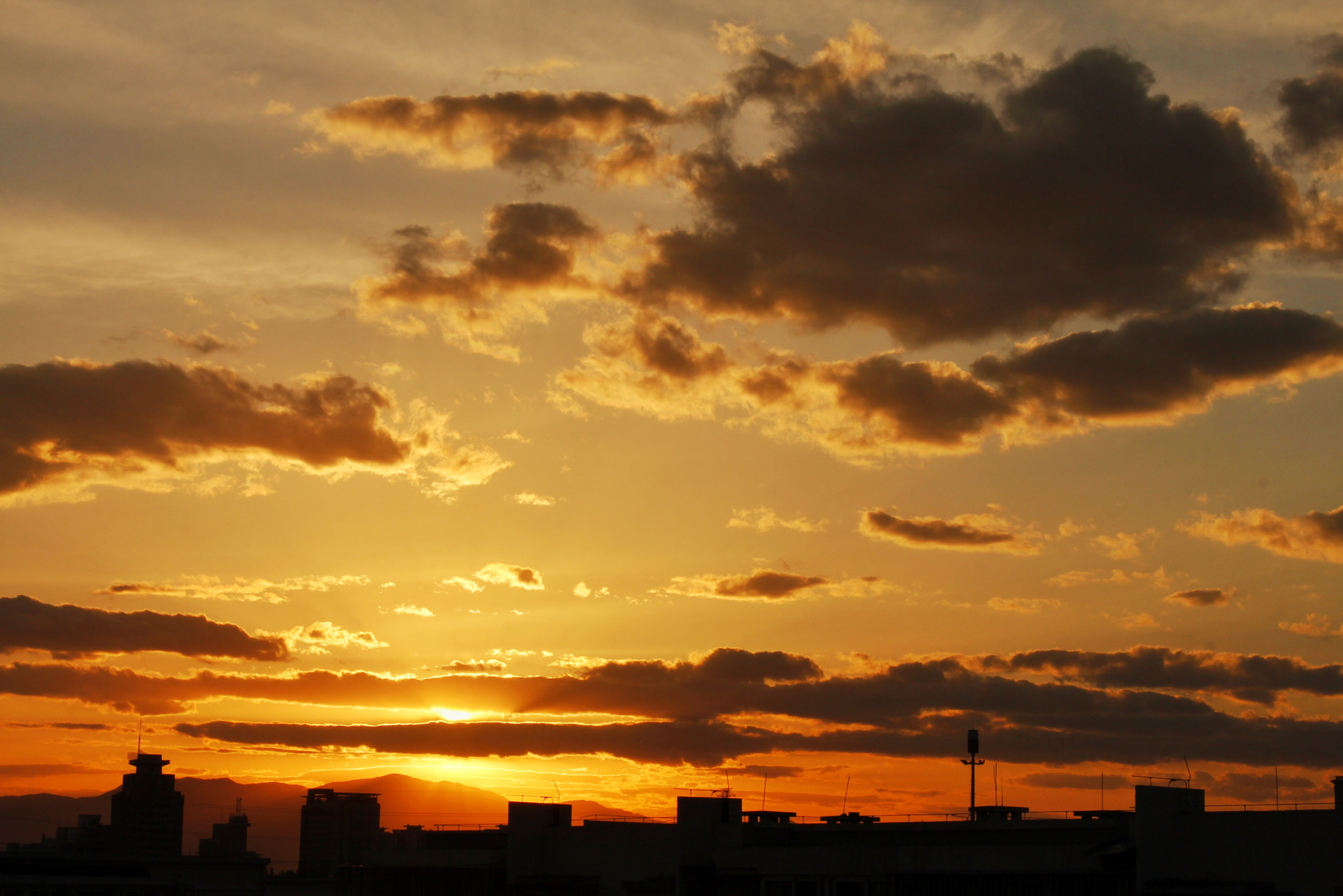 Canon EF-S 18-55mm F3.5-5.6 IS II sample photo. ❤️爱在云端❤️ photography