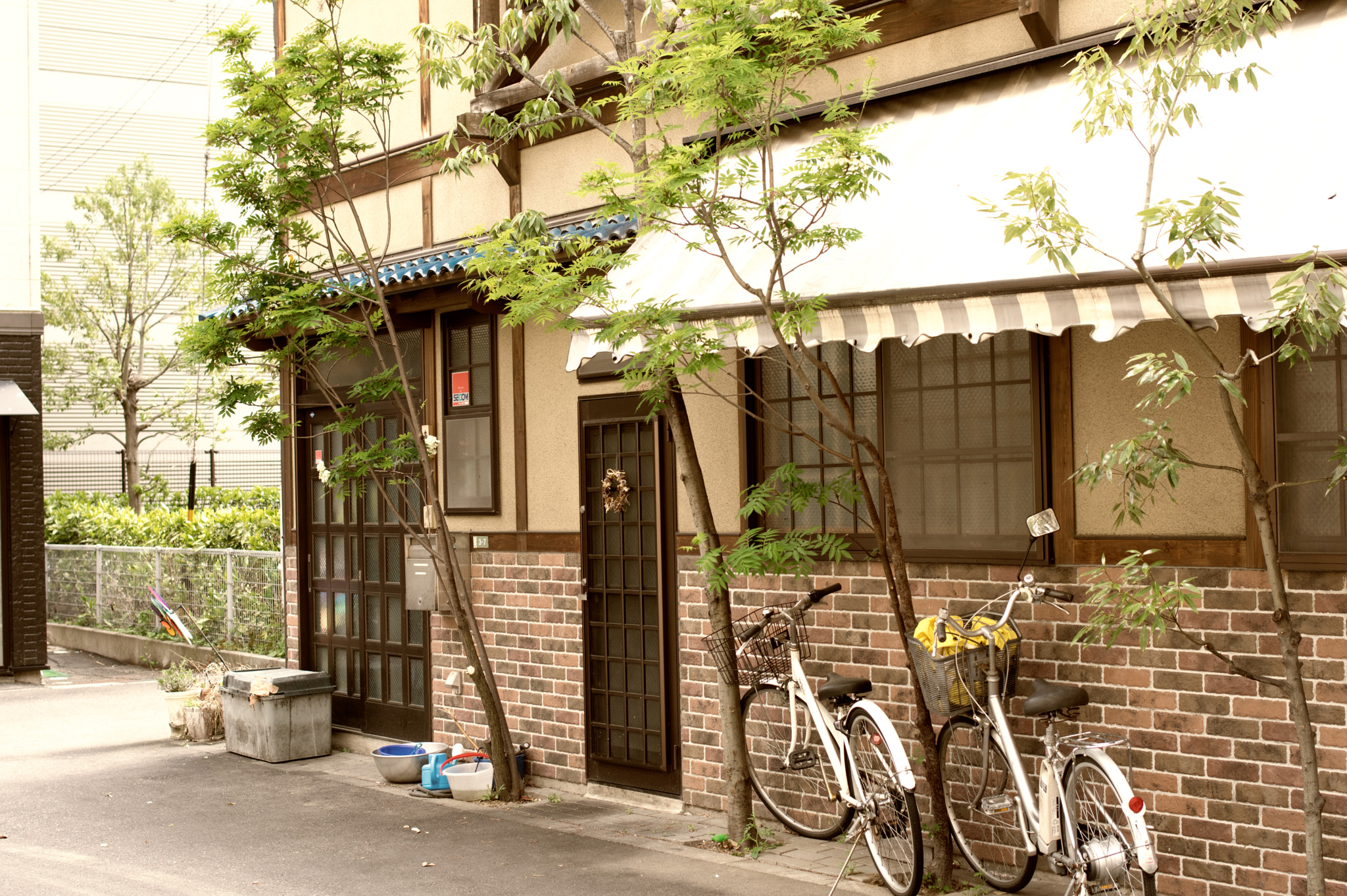 Pentax K-3 II sample photo