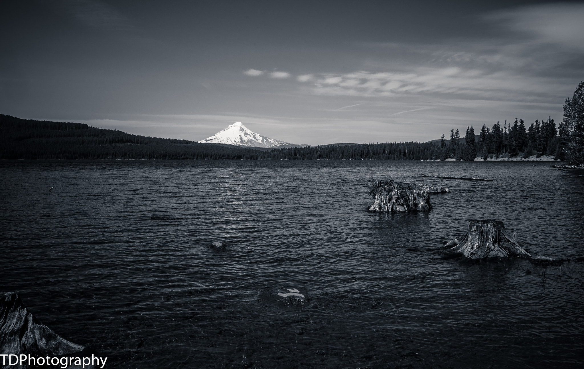 Olympus OM-D E-M1 sample photo. Mt hood and timothy lake photography