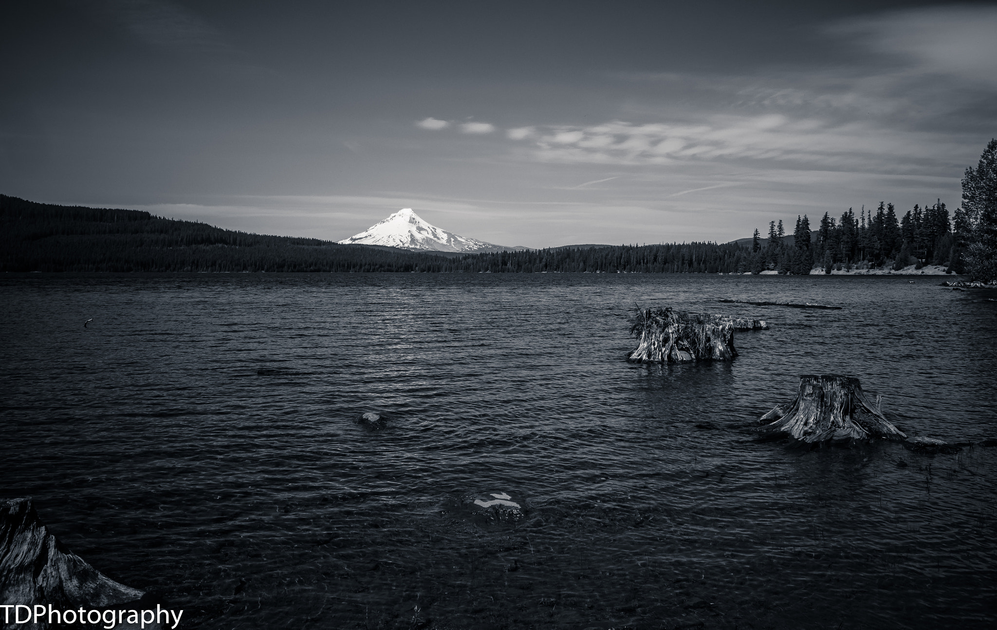 Olympus OM-D E-M1 + Panasonic Lumix G Vario 7-14mm F4 ASPH sample photo. Mt hood and timothy lake photography