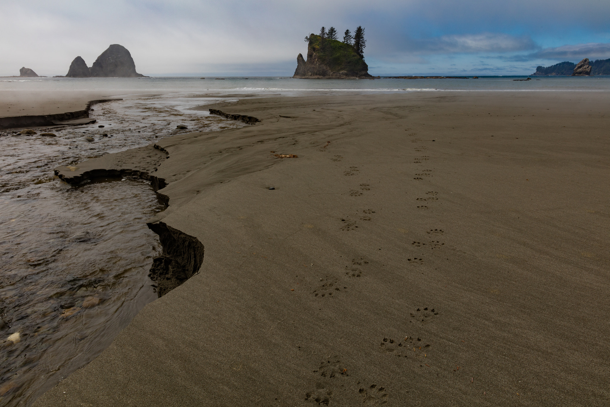 Canon EF 24mm F1.4L II USM sample photo. Tracks photography