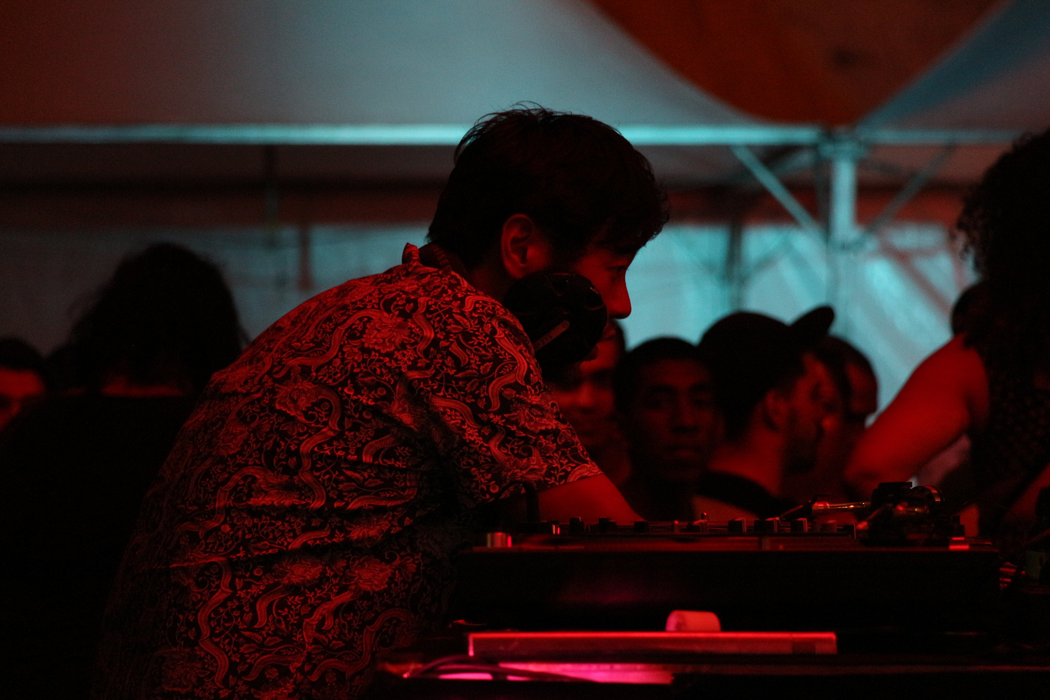 Canon EF-S 18-135mm F3.5-5.6 IS STM sample photo. The dj photography