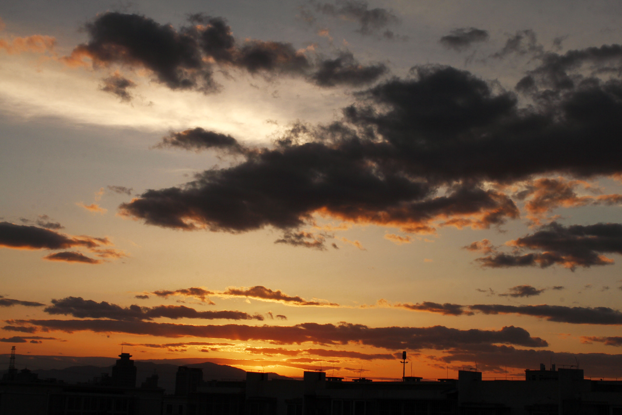 Canon EF-S 18-55mm F3.5-5.6 IS II sample photo. ❤️爱在云端❤️ photography