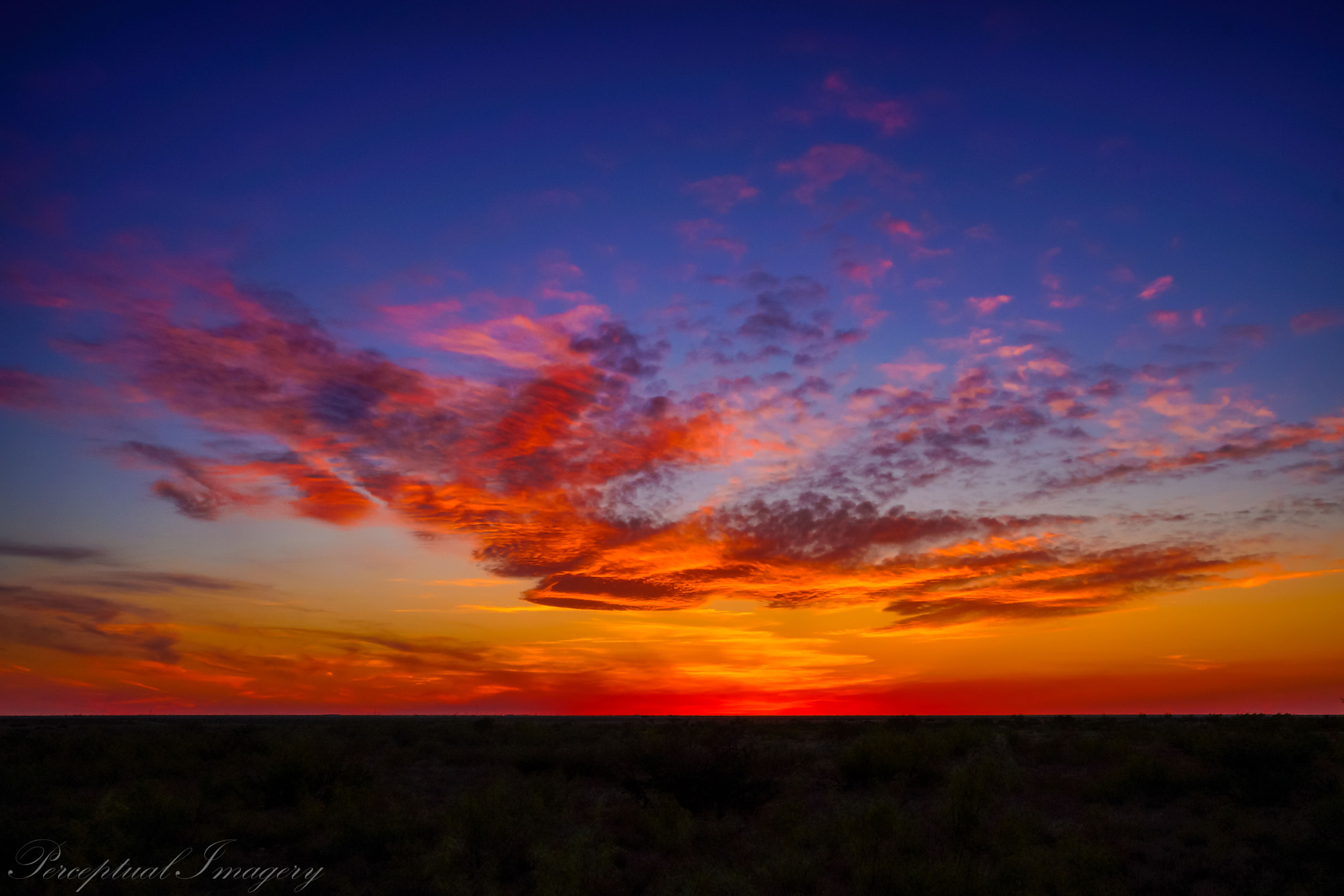 Sony a99 II + Minolta AF 17-35mm F3.5 G sample photo. Orange crush.... photography