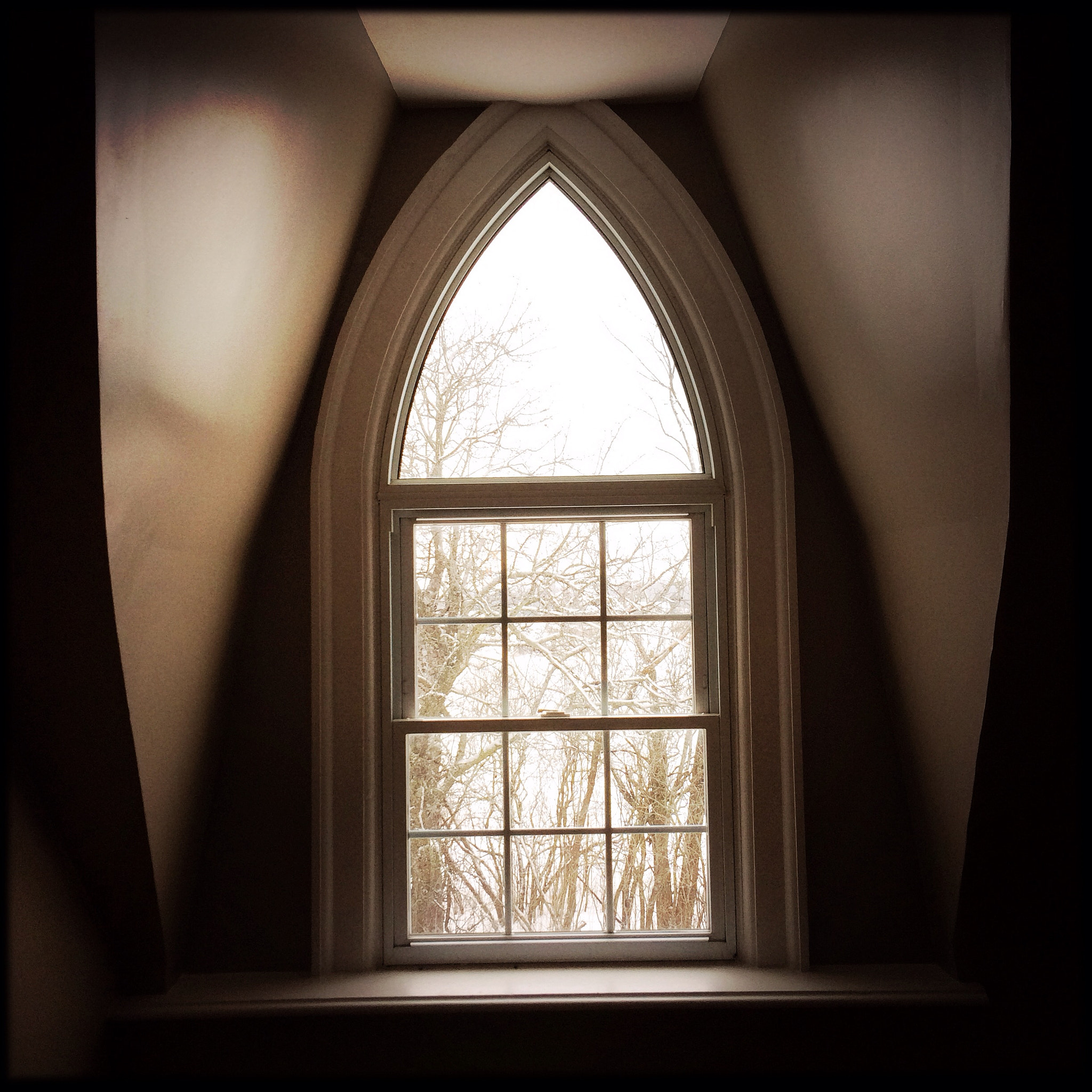 Hipstamatic 272 sample photo