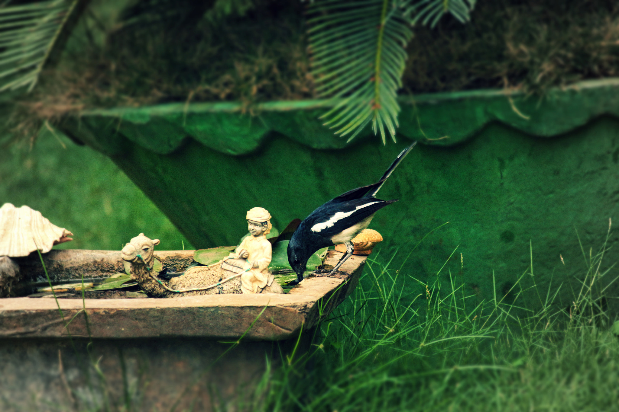 Canon EF 70-200mm F2.8L IS USM sample photo. The bird bath photography