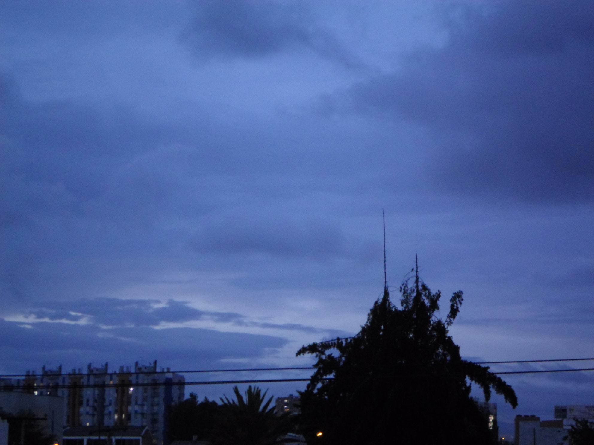 Samsung ES95 sample photo. Sam_7280.jpg photography