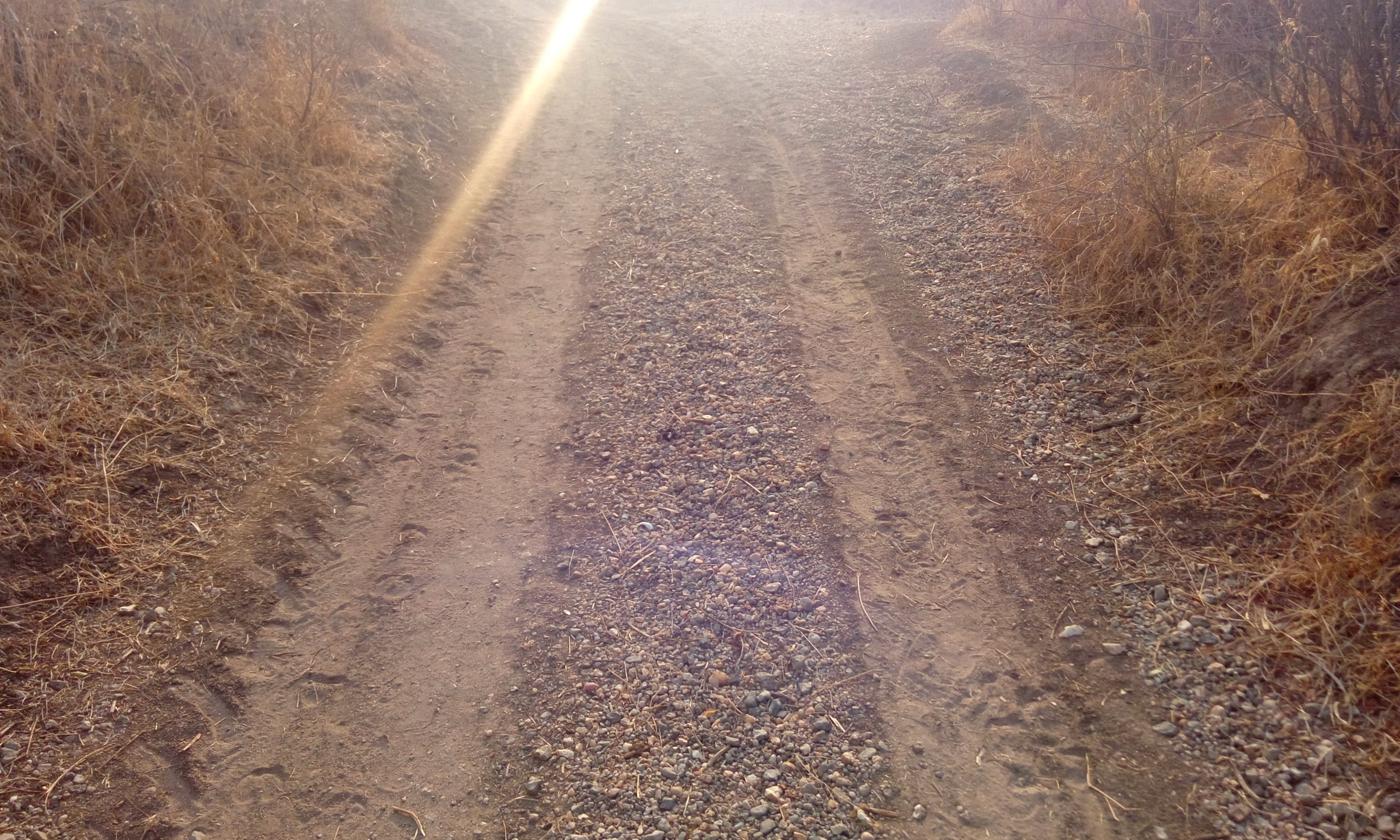 HTC DESIRE 820G PLUS DUAL SIM sample photo. The way photography