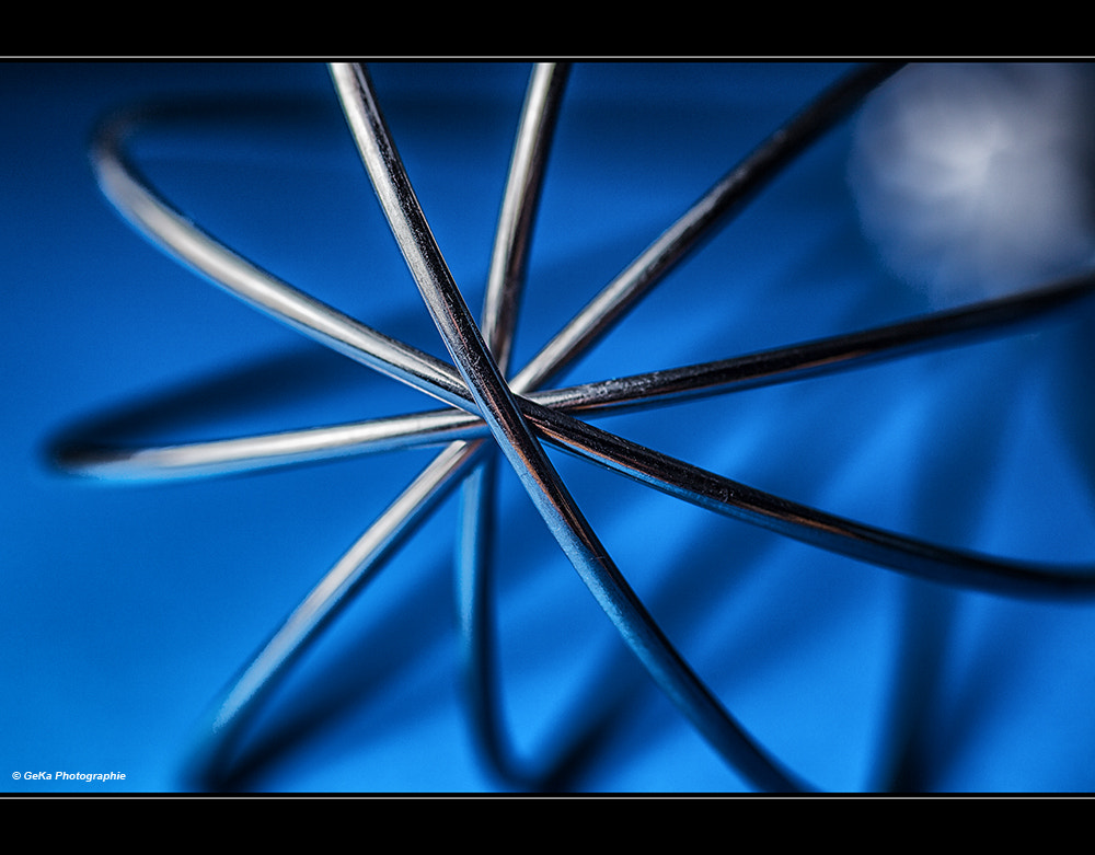 Sigma 105mm F2.8 EX DG Macro sample photo. Schneebesen photography