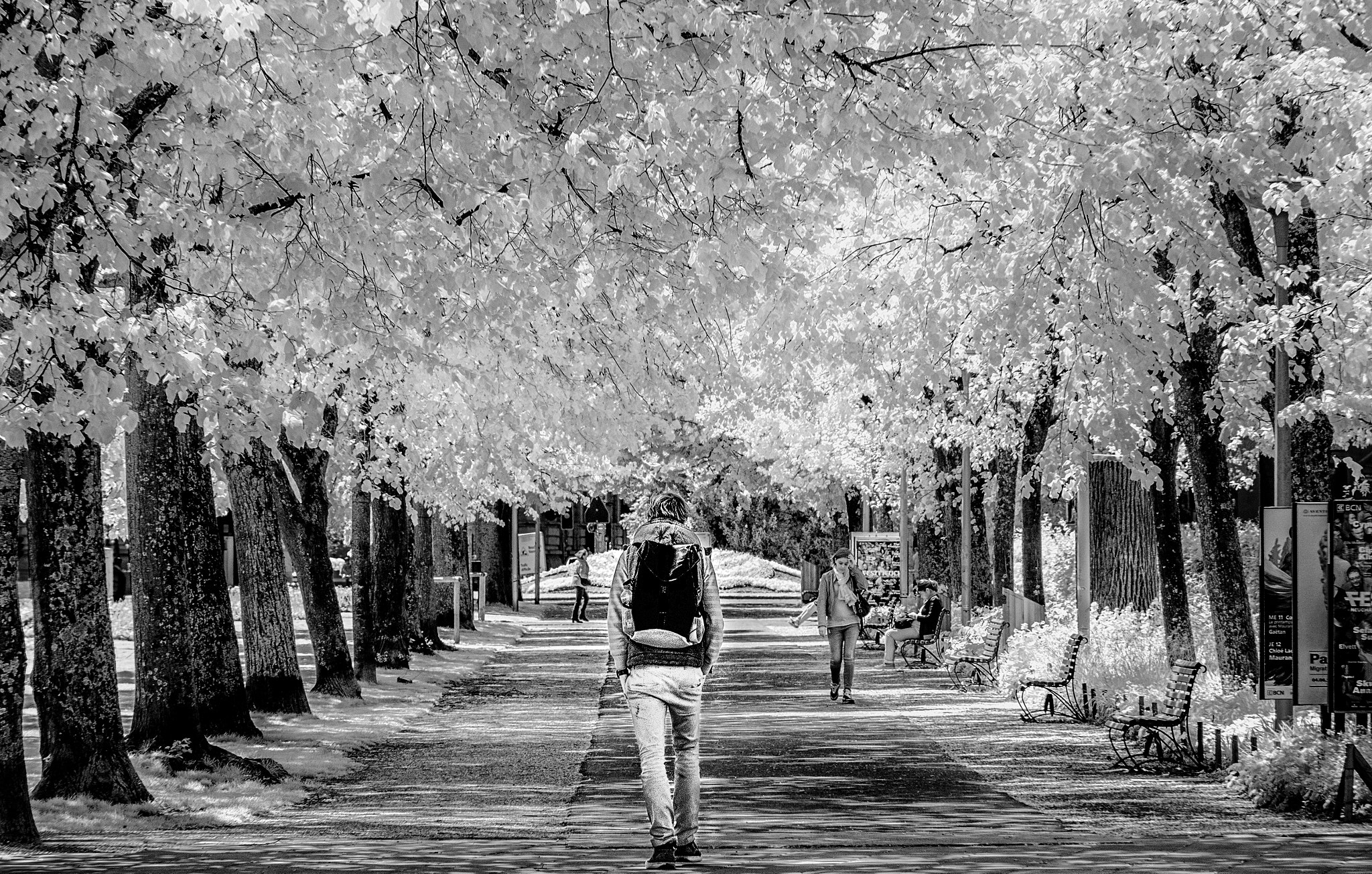 Fujifilm X-E1 + Fujifilm XF 18-135mm F3.5-5.6 R LM OIS WR sample photo. ...thelosttraveler... photography