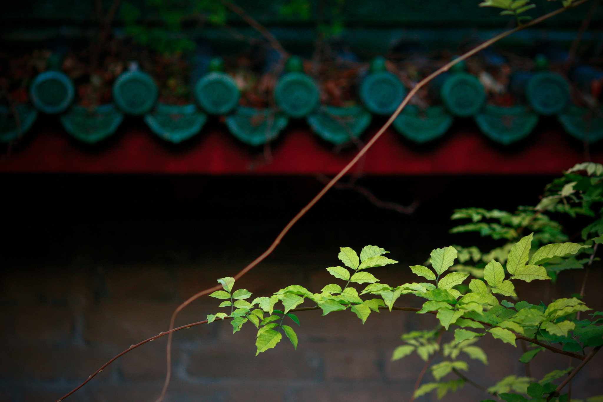 Canon EOS 40D sample photo. 禅意 photography