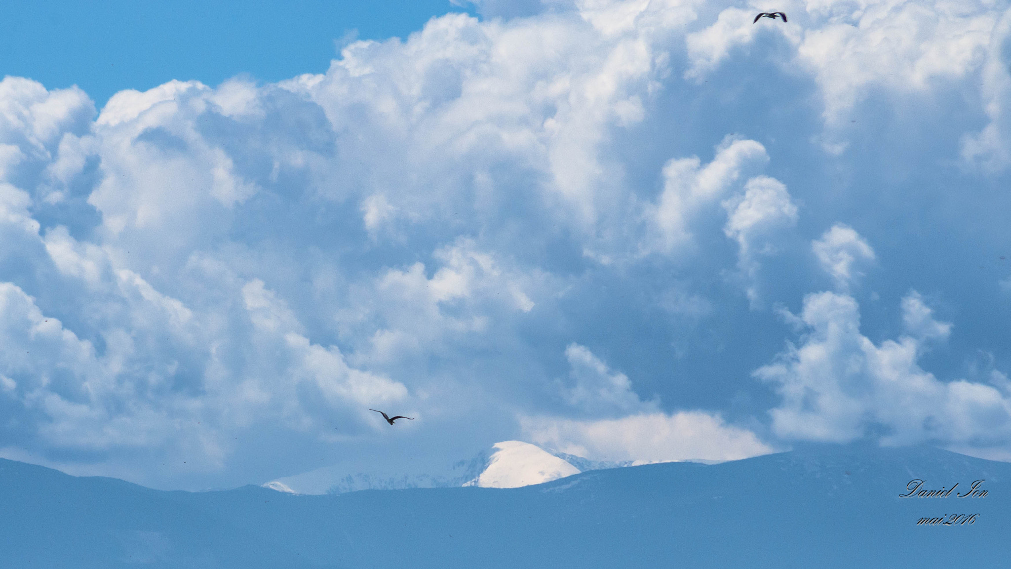 smc PENTAX-FA 70-200mm F4-5.6 sample photo. Ardea cinerea photography