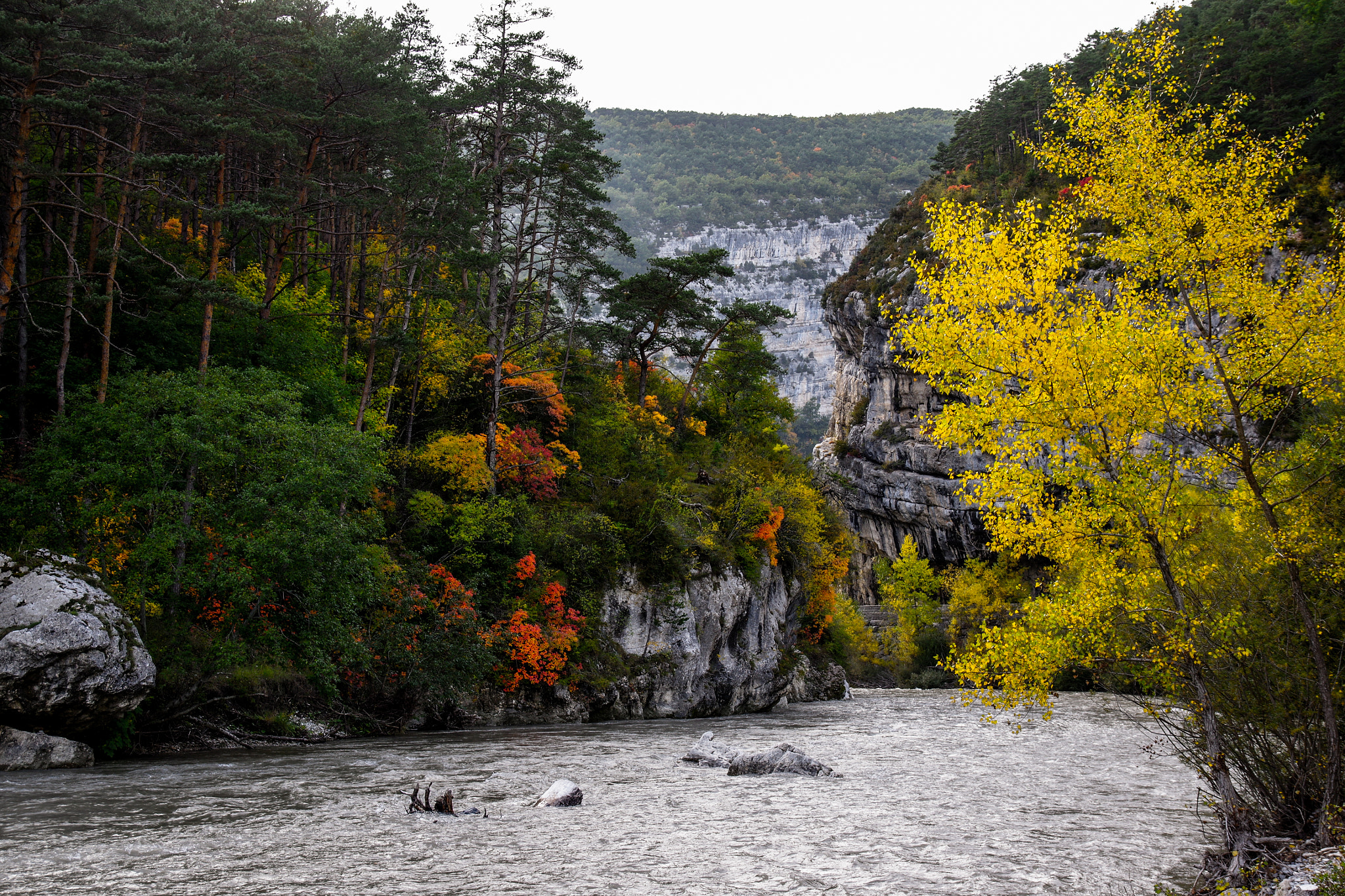 Pentax K-3 II sample photo. Colorful autumn photography