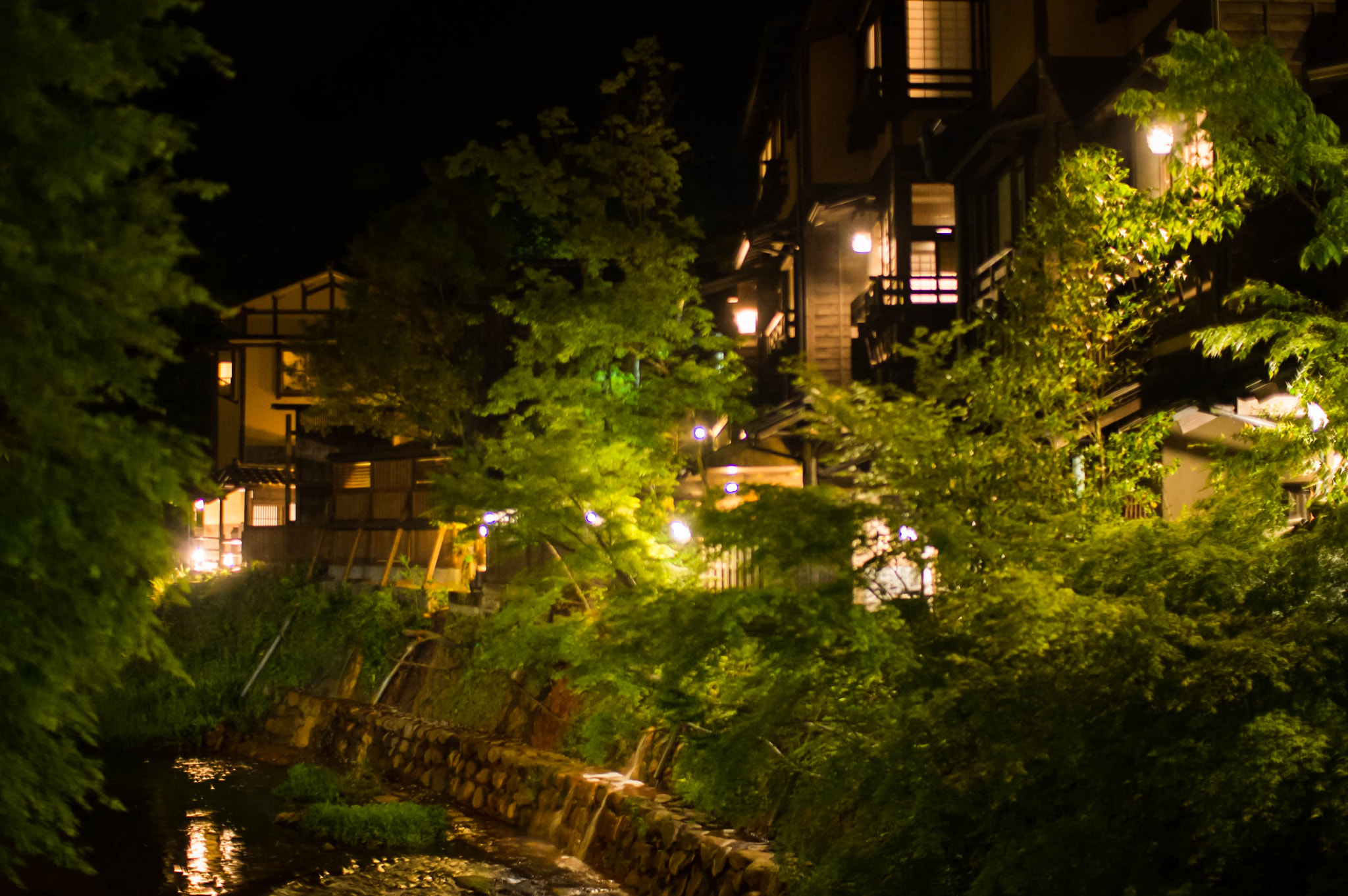 Nikon Df + Sigma 30mm F1.4 EX DC HSM sample photo. Ryokan and river photography