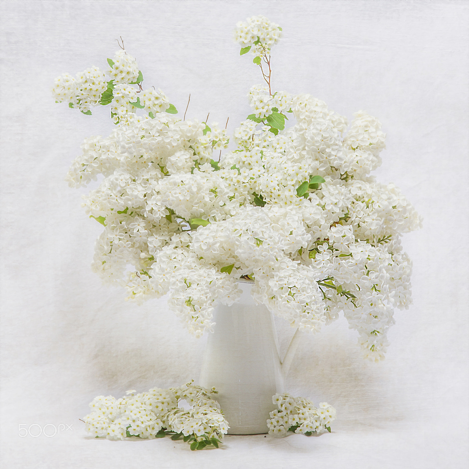 Canon EOS 7D + Sigma 105mm F2.8 EX DG Macro sample photo. White lilac photography
