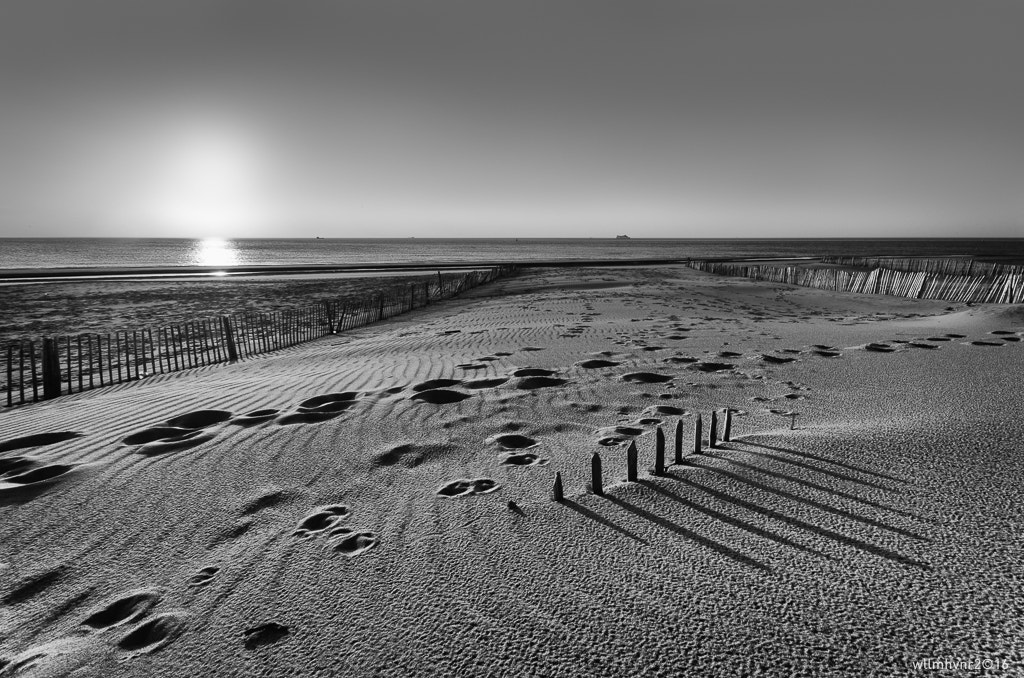 Sigma AF 10-20mm F4-5.6 EX DC sample photo. Long shadows photography