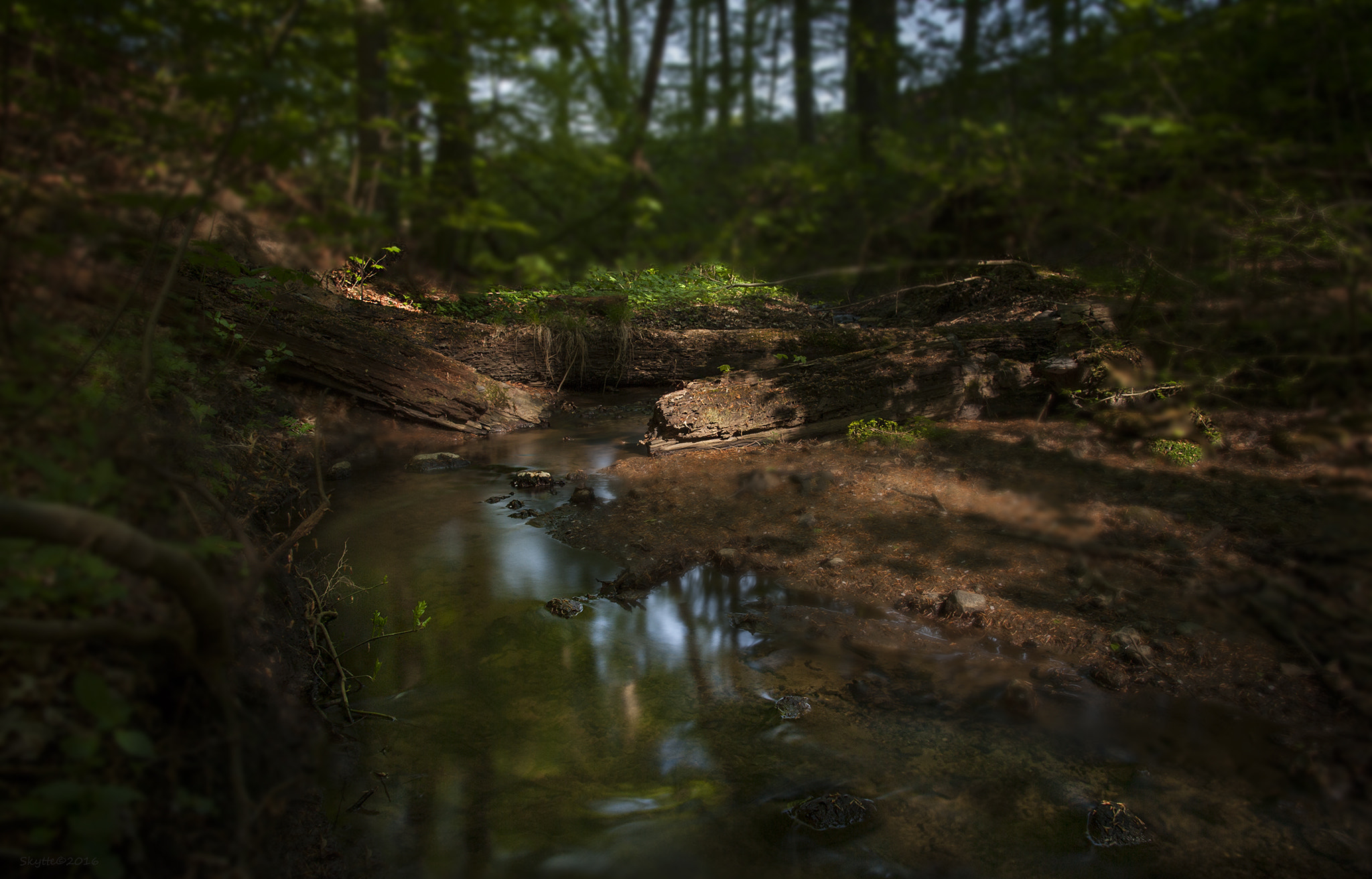 Nikon D3 sample photo. The creek photography