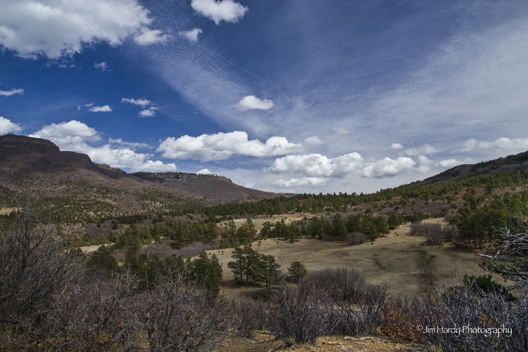 Canon EOS 550D (EOS Rebel T2i / EOS Kiss X4) sample photo. Raton pass photography