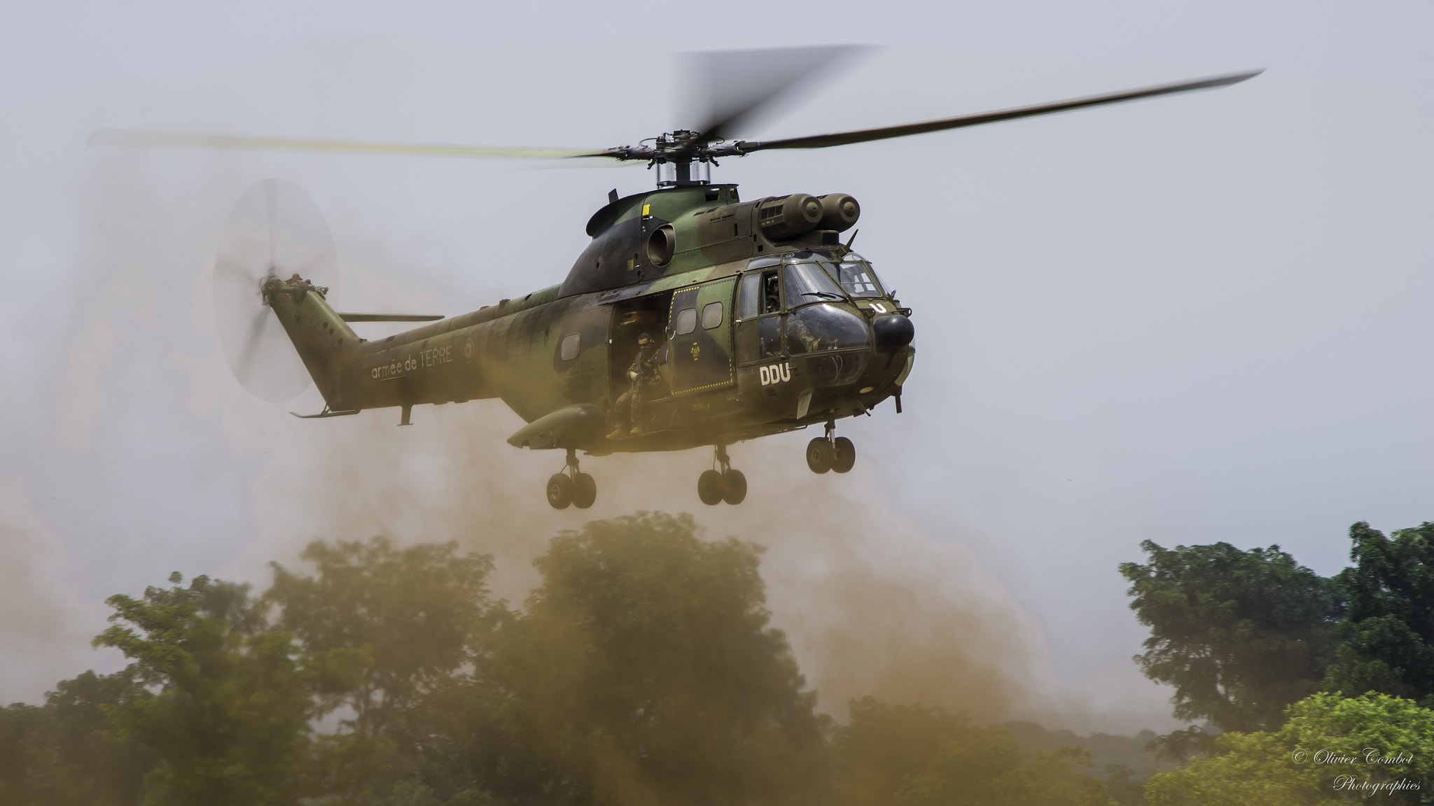 Tamron AF 18-200mm F3.5-6.3 XR Di II LD Aspherical (IF) Macro sample photo. Puma landing photography