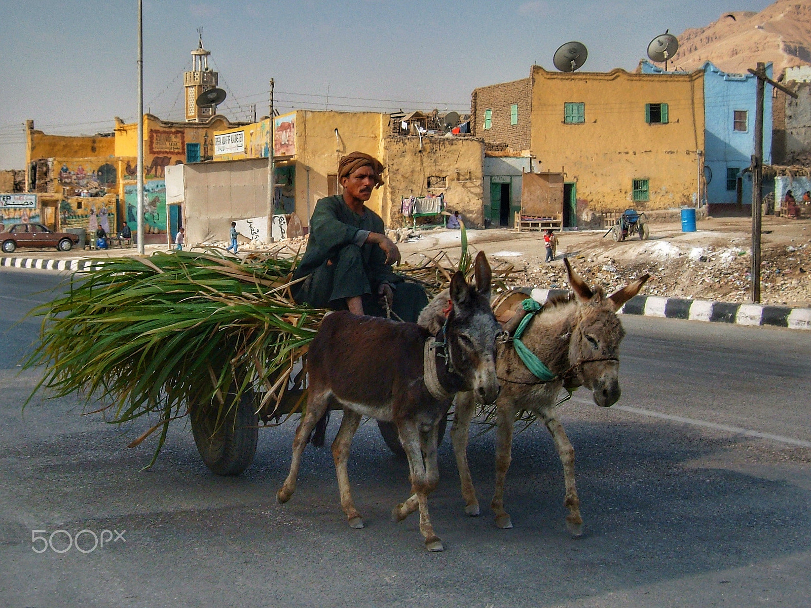 Fujifilm FinePix F710 sample photo. Donkey cart photography