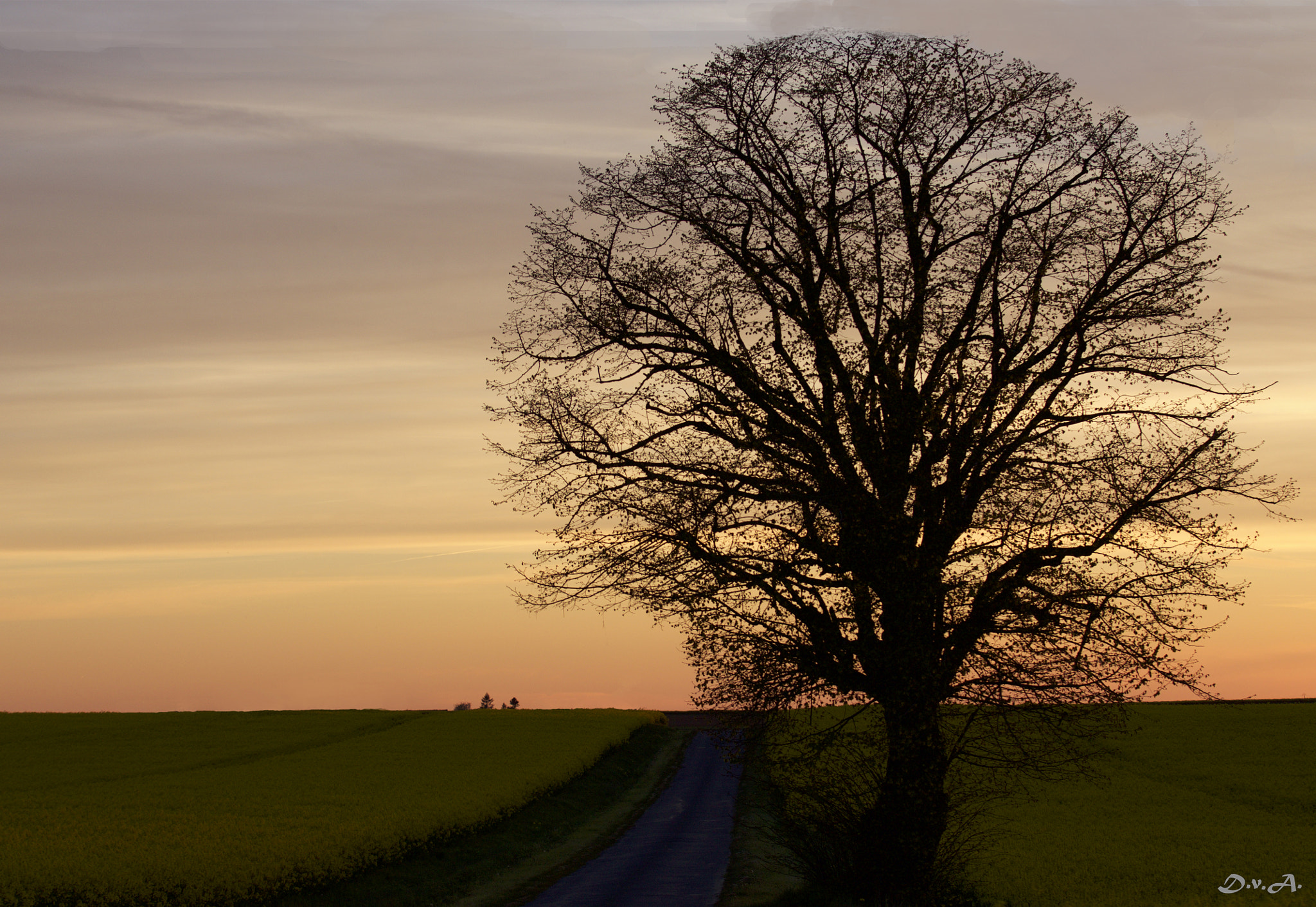 Canon EF 70-200mm F2.8L IS II USM sample photo. Sunset in france photography