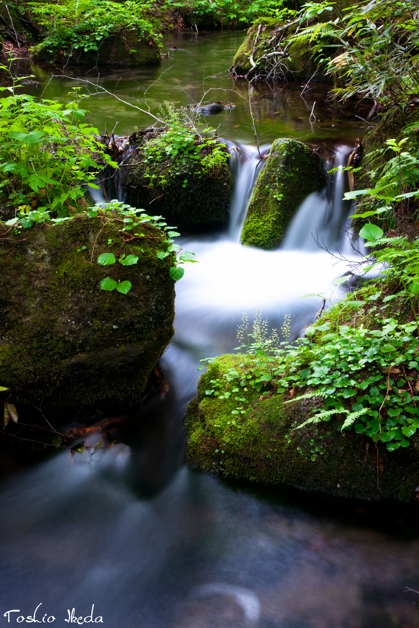 Sony Alpha DSLR-A700 sample photo. Mountan stream photography