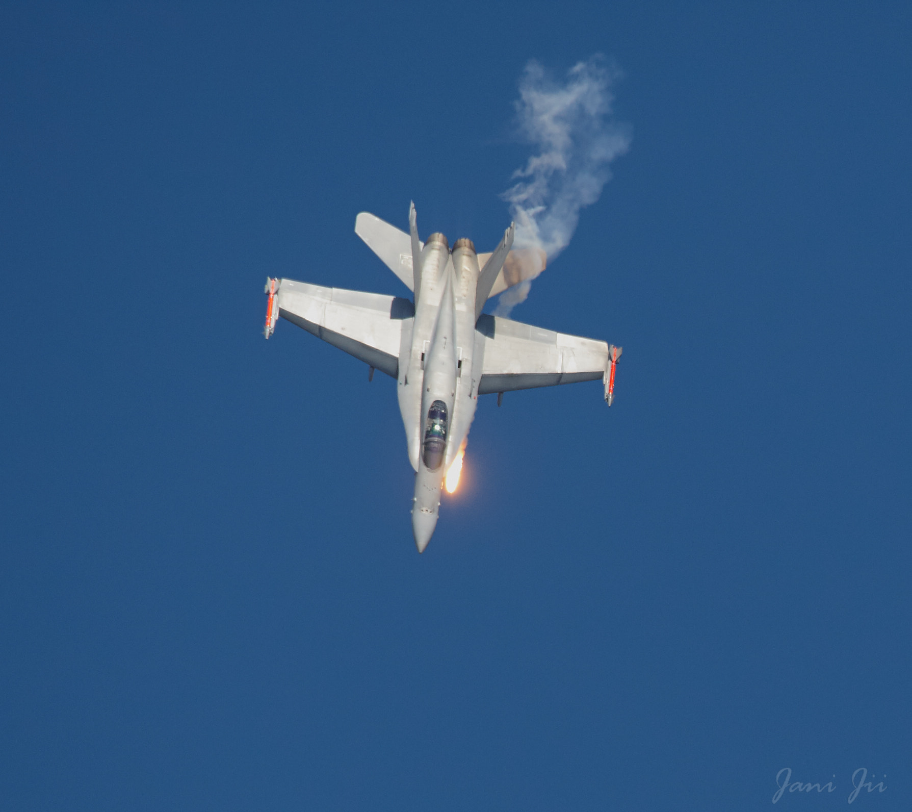 Canon EOS-1D Mark III sample photo. Diving hornet launching flare photography