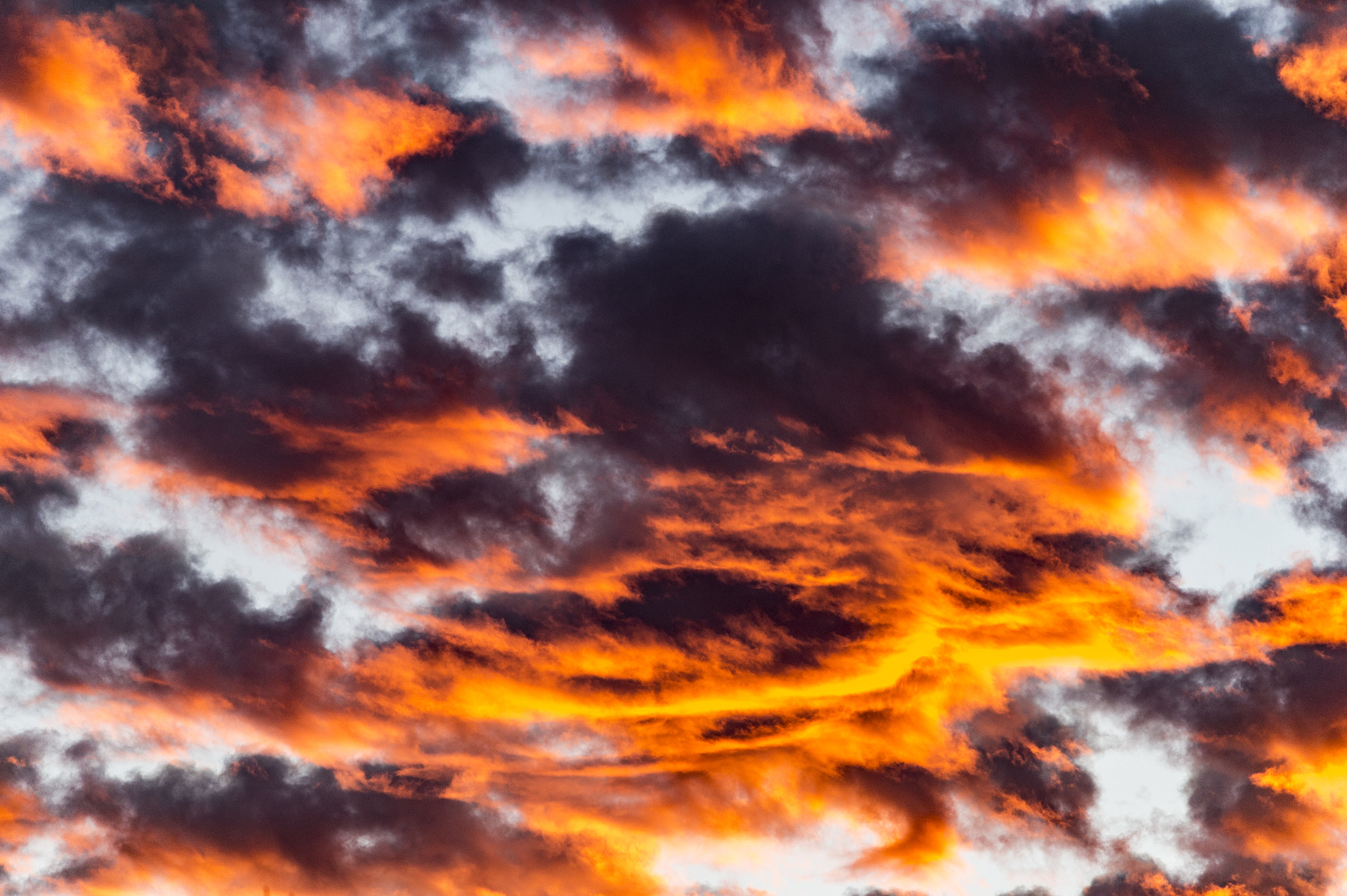 Nikon Df sample photo. Skyshow photography
