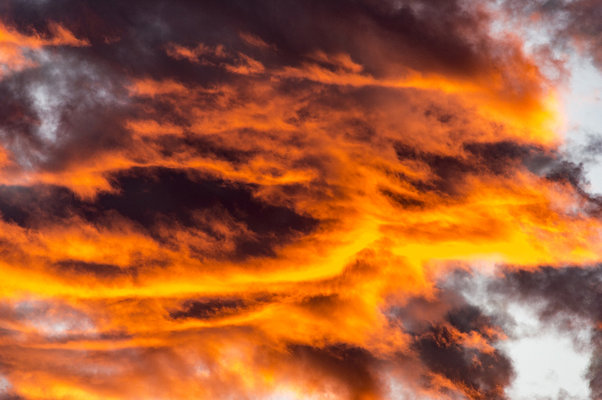 Nikon Df sample photo. Skyshow photography