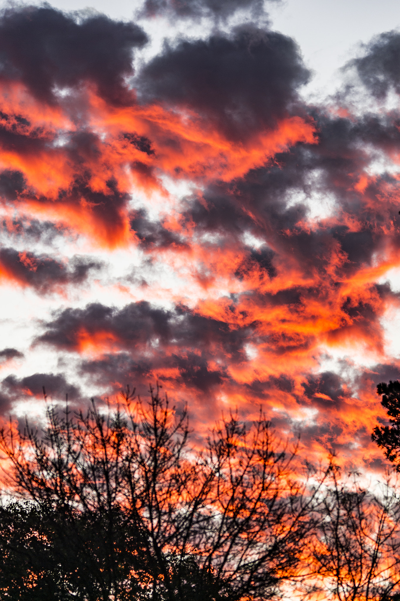 Nikon Df sample photo. Skyshow photography