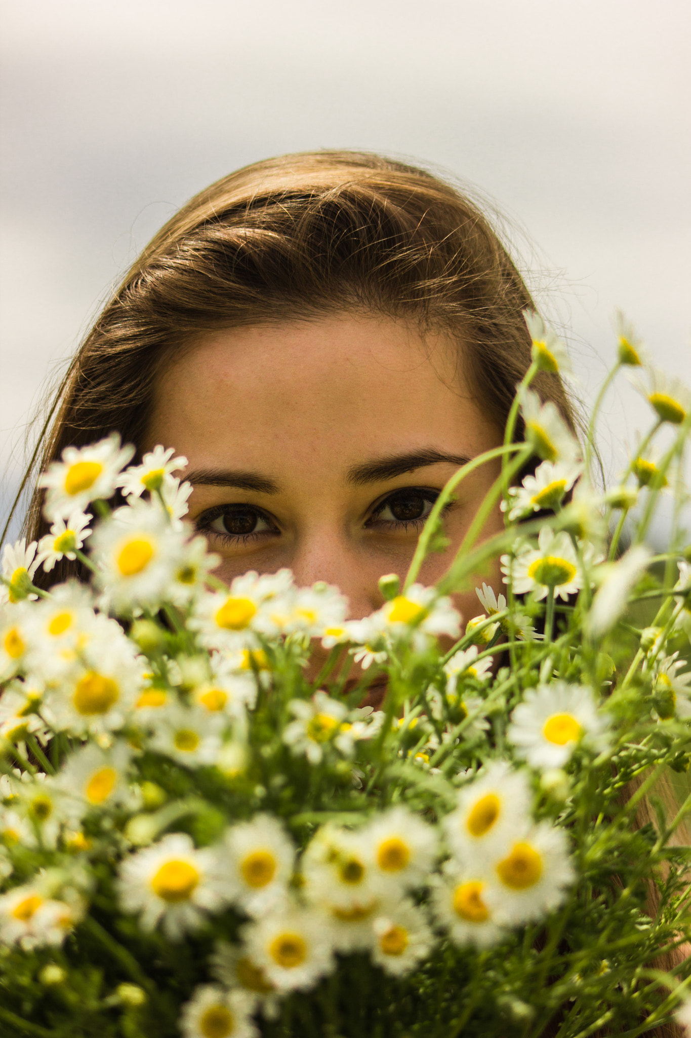 Canon EF 70-210mm f/3.5-4.5 USM sample photo. The daisy photography