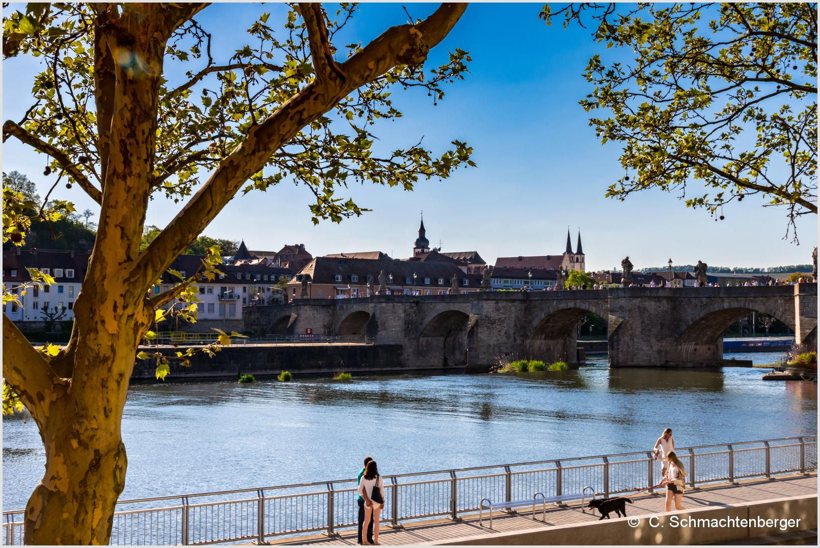 Canon EOS 760D (EOS Rebel T6s / EOS 8000D) sample photo. Würzburg mit blick auf alte mainbrücke photography