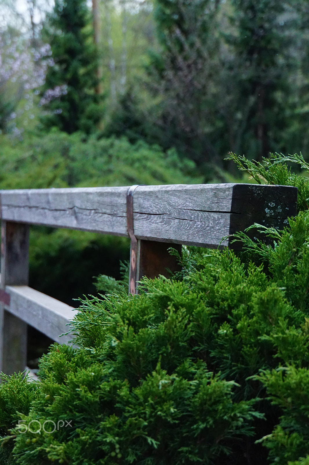 Sony FE 28-70mm F3.5-5.6 OSS sample photo. The green bridge photography