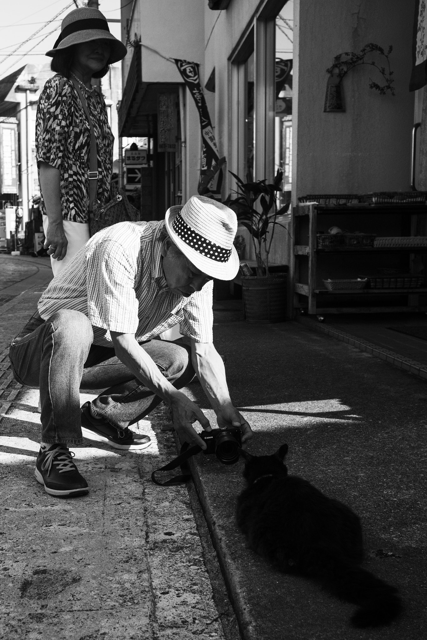 Nikon D810 + AF Nikkor 28mm f/2.8 sample photo. Cat photographer photography