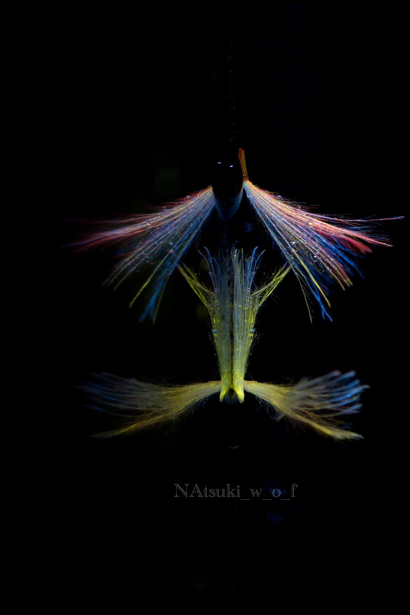 Tamron SP AF 180mm F3.5 Di LD (IF) Macro sample photo. Fairy photography