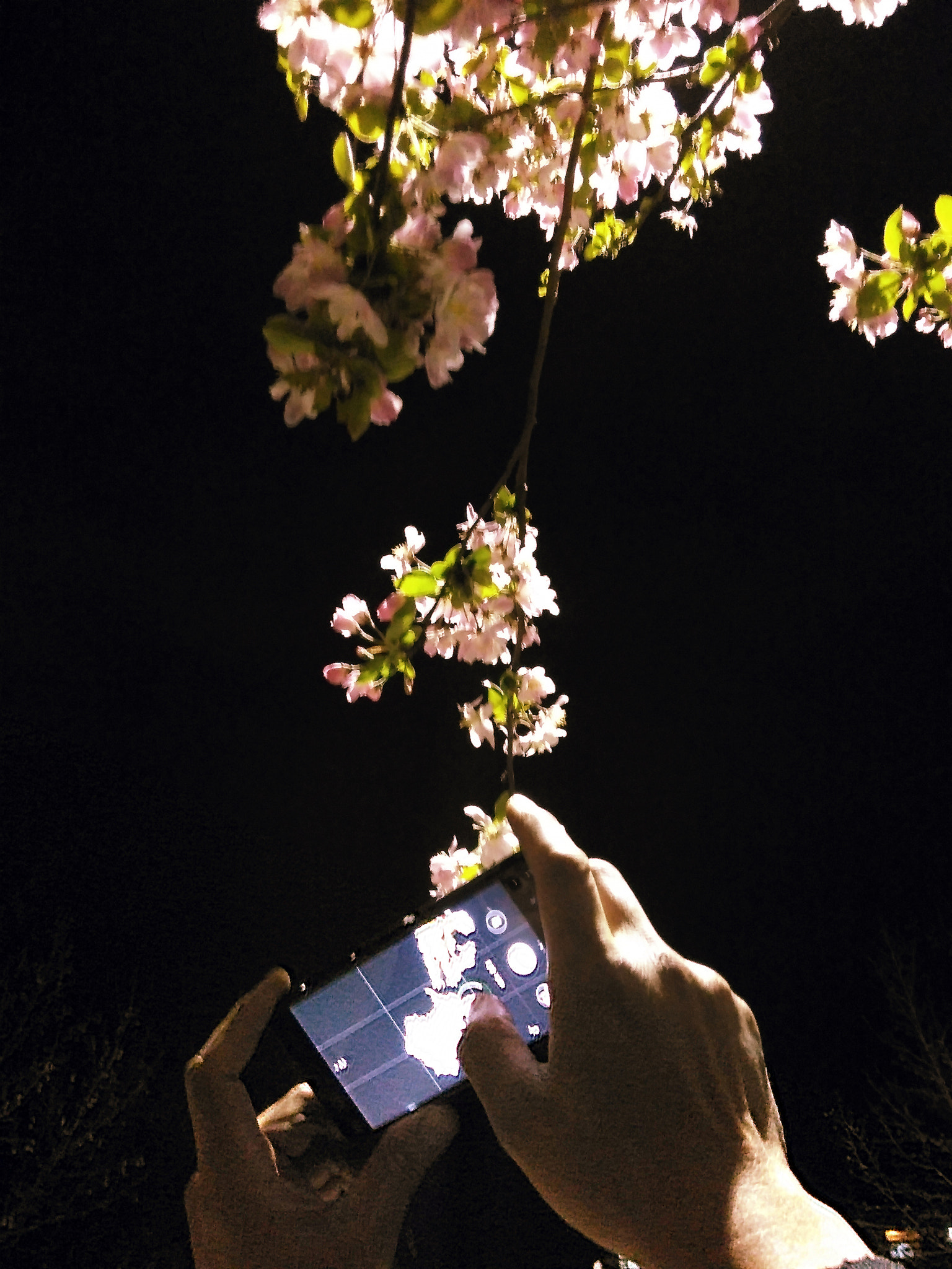 Xiaomi HM 2LTE-CMCC sample photo. Night photography