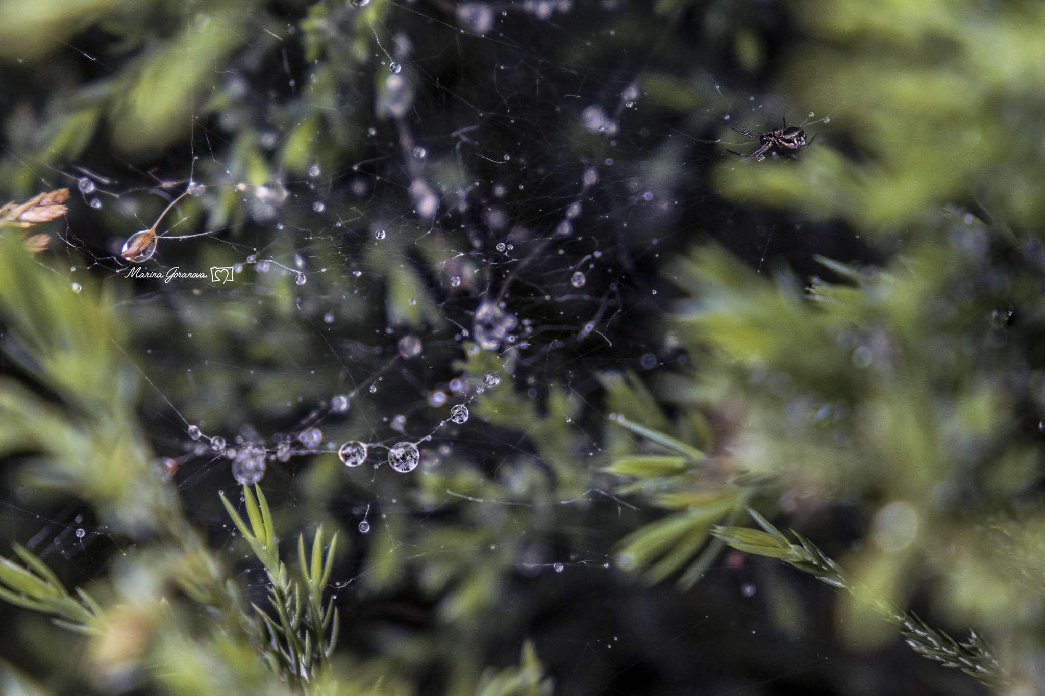 Canon EF 24-105mm F3.5-5.6 IS STM sample photo. When art meets sciences photography