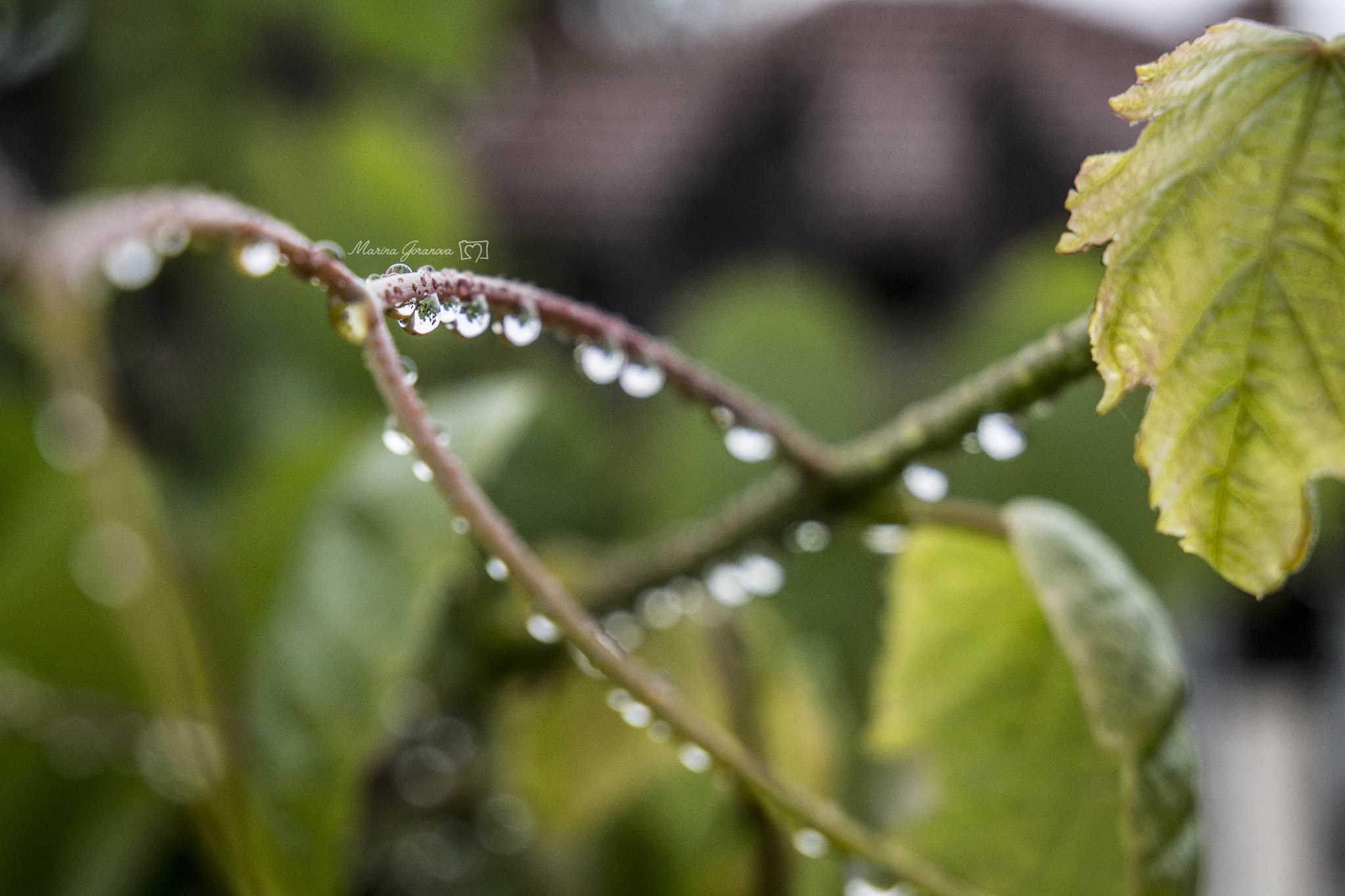 Canon EF 24-105mm F3.5-5.6 IS STM sample photo. When art meets sciences photography